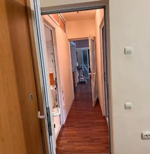 New Abbey Royal Nest *